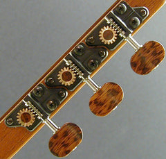 Individual with Snakewood Knob and Snakewood Dot
